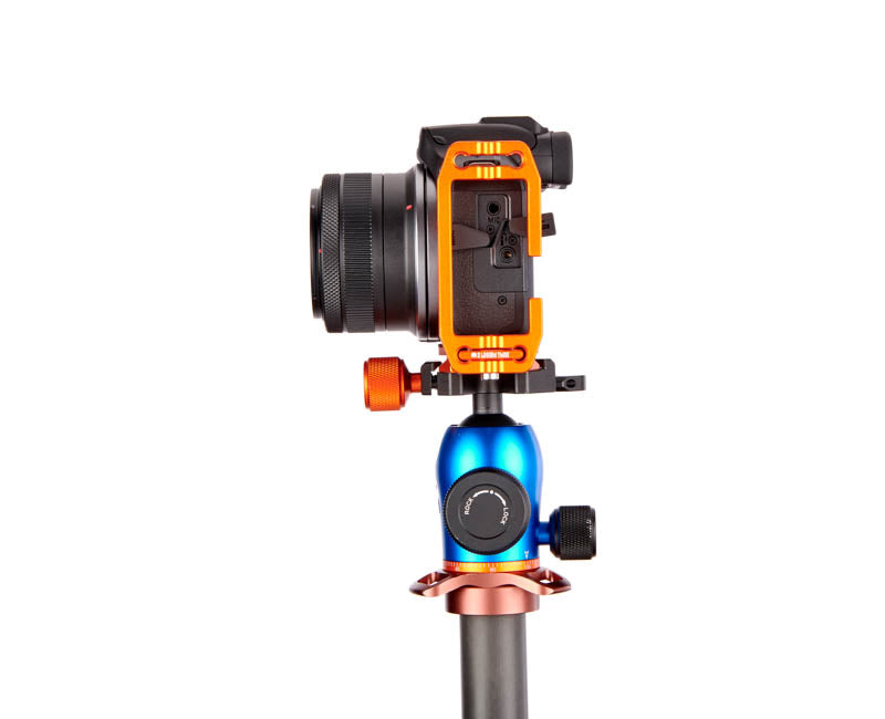 Canon R100 on Lexie - Side view