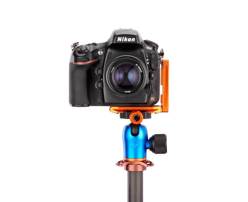 Nikon D800 on Lexie - Front view