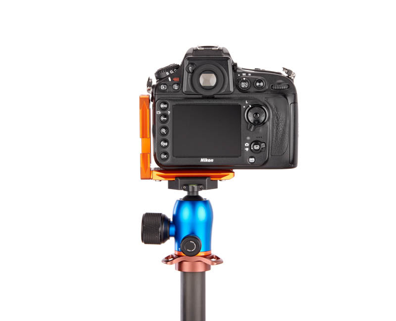 Nikon D800 on Lexie - Rear view