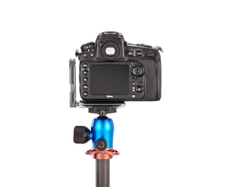 Nikon D810 on Lexie - Rear view