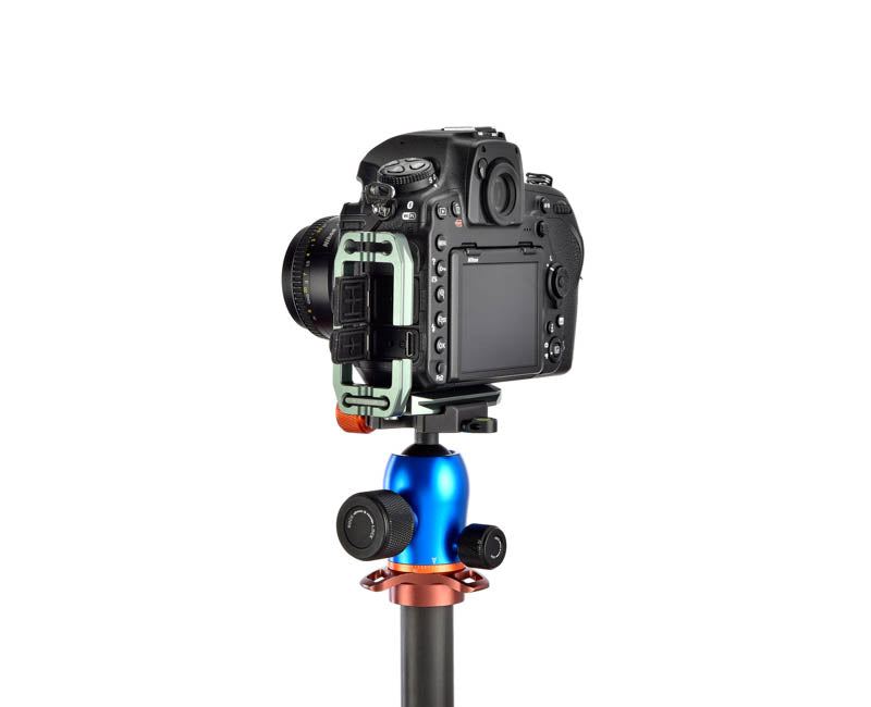 Nikon D850 on Lexie - Rear view