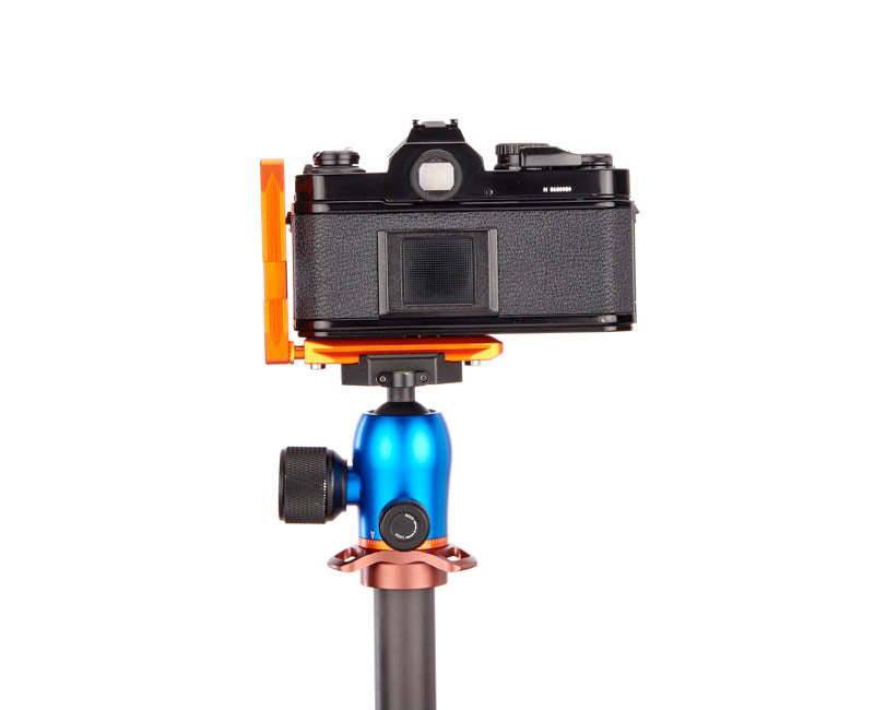 Nikon FM2 on Lexie - Rear view