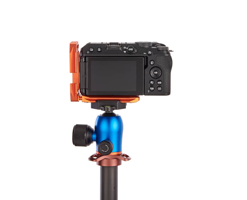 Nikon Z30 on Lexie - Rear view