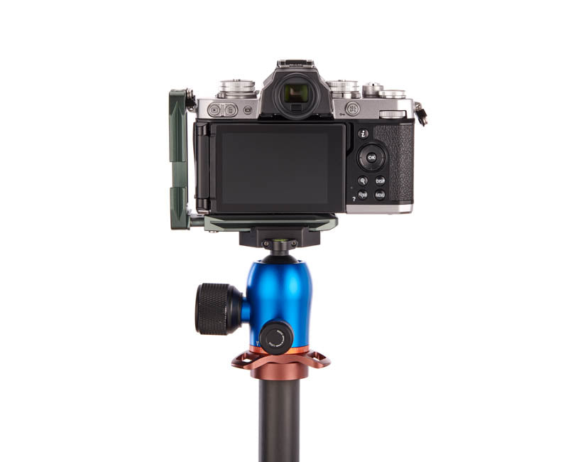 Nikon ZFC on Lexie - Rear view