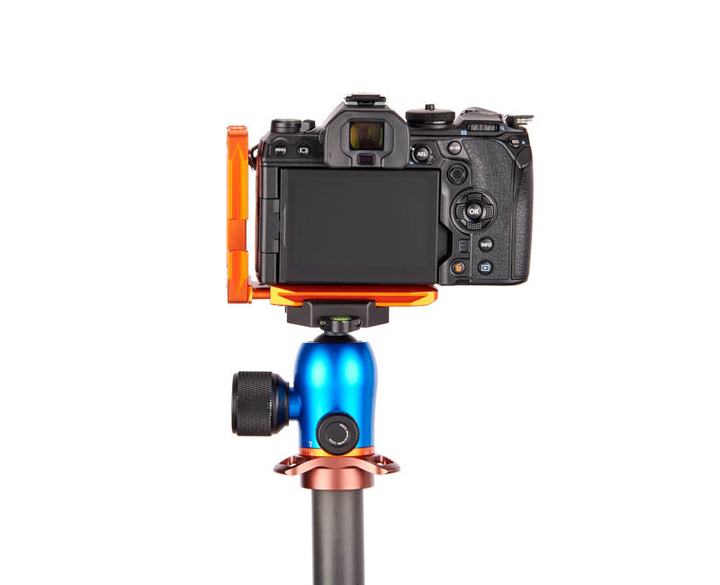 OM System OM1 on Lexie - Rear view