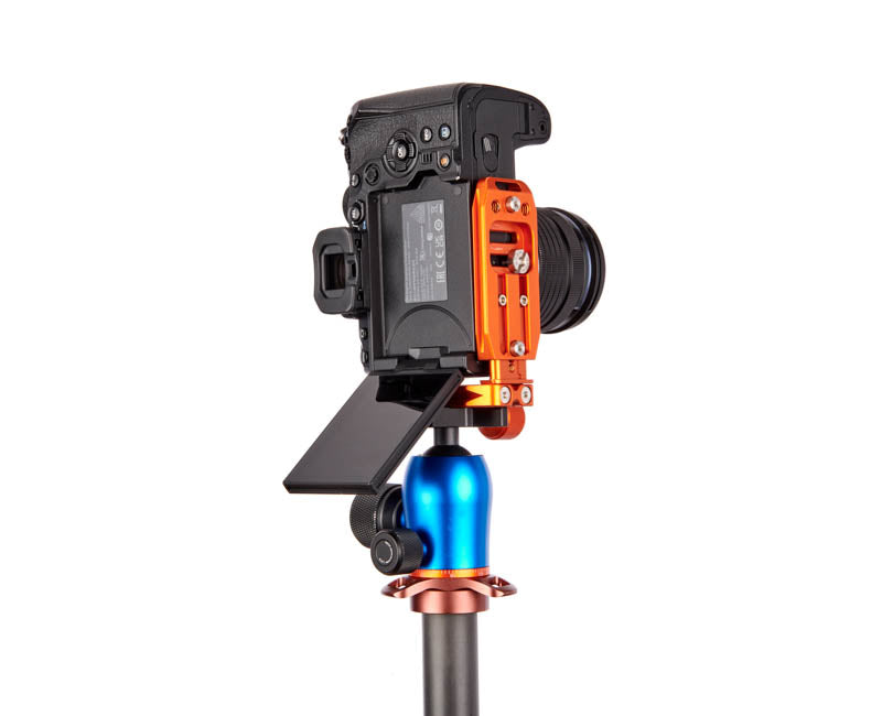 OM System OM1 on Lexie - Underside view,Screen Flipped