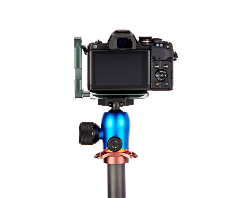 OM System OM10 on Lexie - Rear view