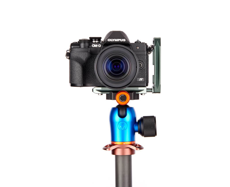 OM System OM10 on Lexie - Front view