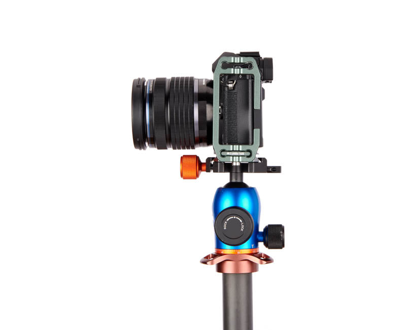 OM System OM10 on Lexie - Side view