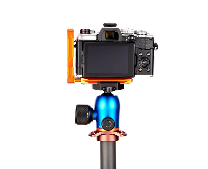 OM System OM5 on Lexie - Rear view