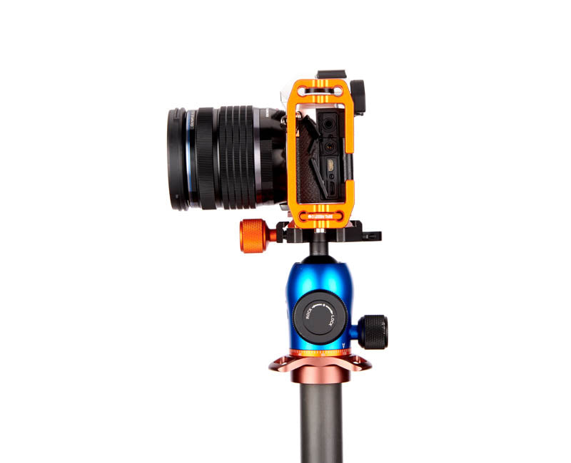 OM System OM5 on Lexie - Side view