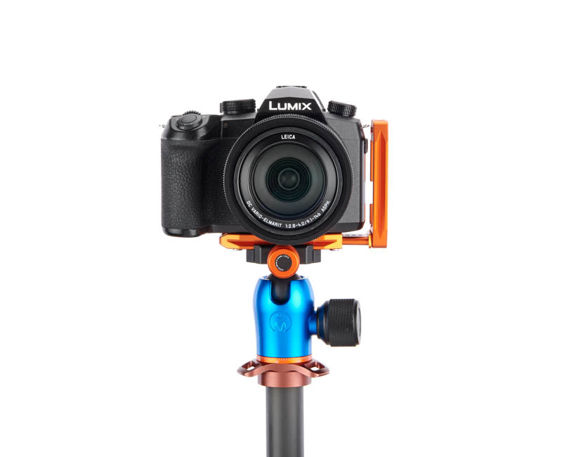 Panasonic FZ100 II on Lexie - Front view