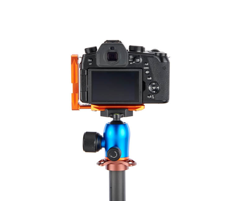 Panasonic FZ100 II on Lexie - Rear view