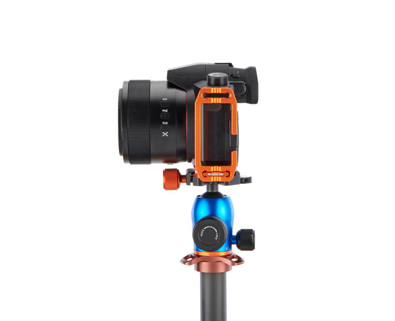 Panasonic FZ100 II on Lexie - Side view