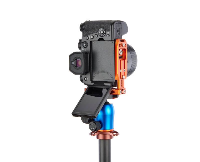 Panasonic FZ100 II on Lexie - Underside view,Screen Flipped