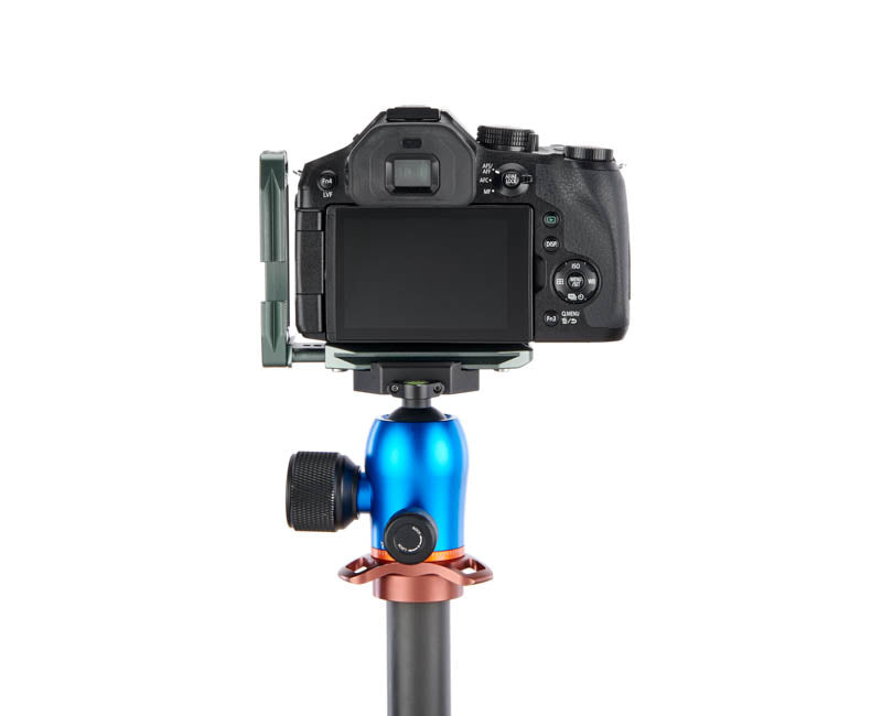 Panasonic FZ330 on Lexie - Rear view