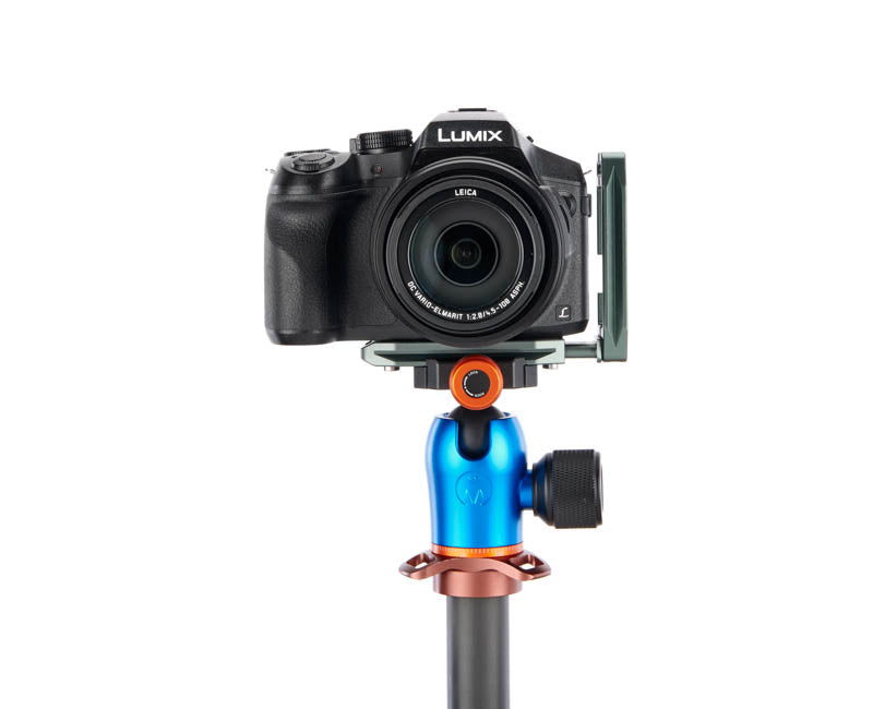 Panasonic FZ330 on Lexie - Front view