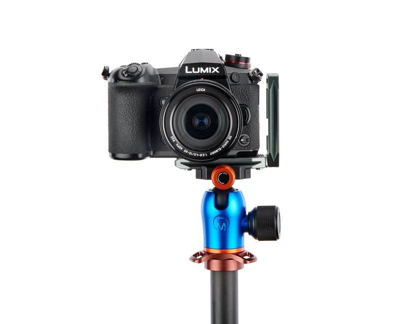 Panasonic G9 on Lexie - Front view