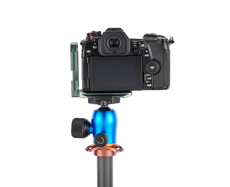 Panasonic G9 on Lexie - Rear view