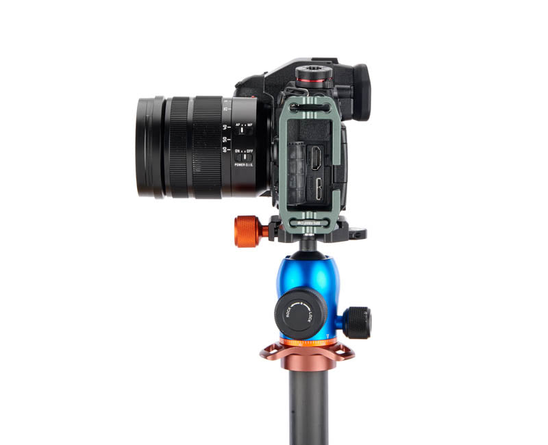 Panasonic G9 on Lexie - Side view