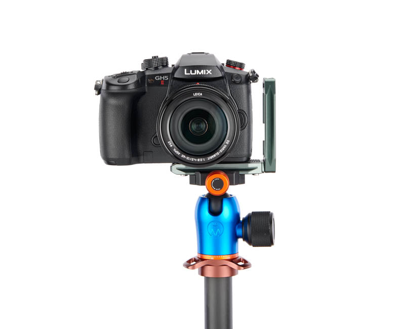 Panasonic GH5 II on Lexie - Front view