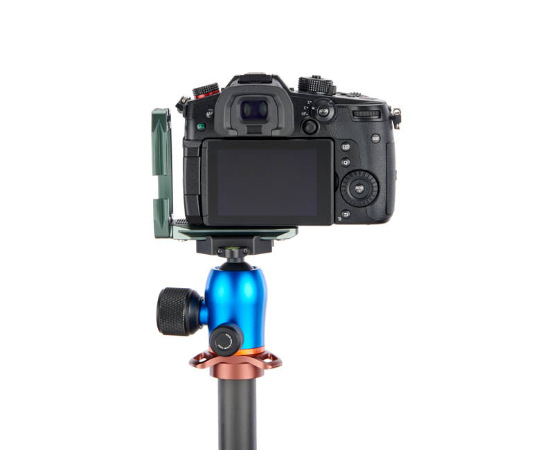 Panasonic GH5 II on Lexie - Rear view