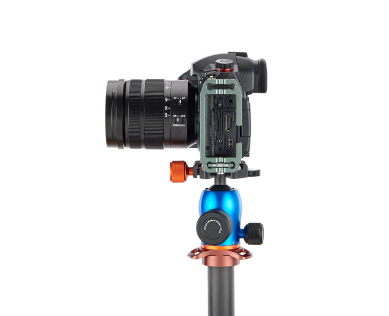 Panasonic GH5 II on Lexie - Side view