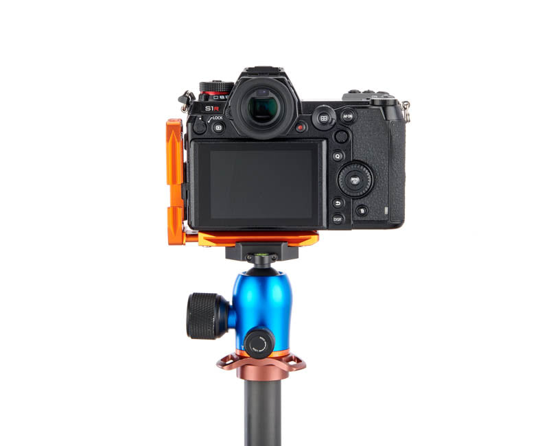 Panasonic S1 R on Lexie - Rear view