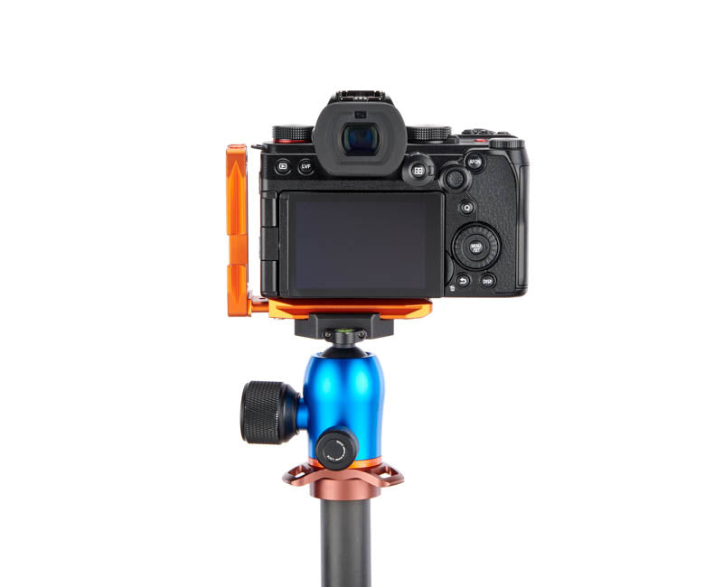 Panasonic S5 on Lexie - Rear view