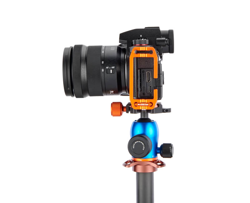 Panasonic S5 on Lexie - Side view