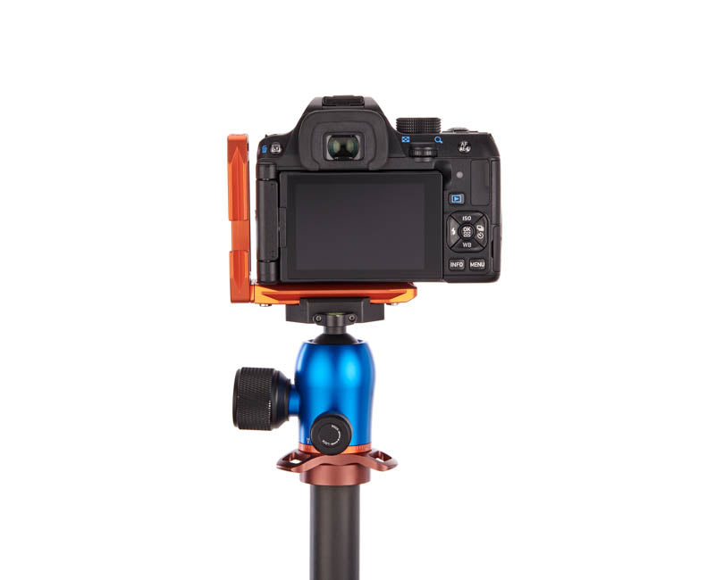 Pentax KF on Lexie - Rear view