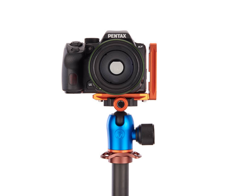 Pentax KF on Lexie - Front view