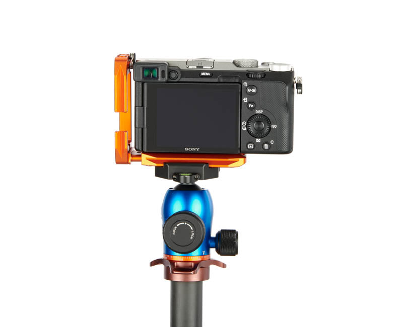 Sony A7C on Lexie - Rear view