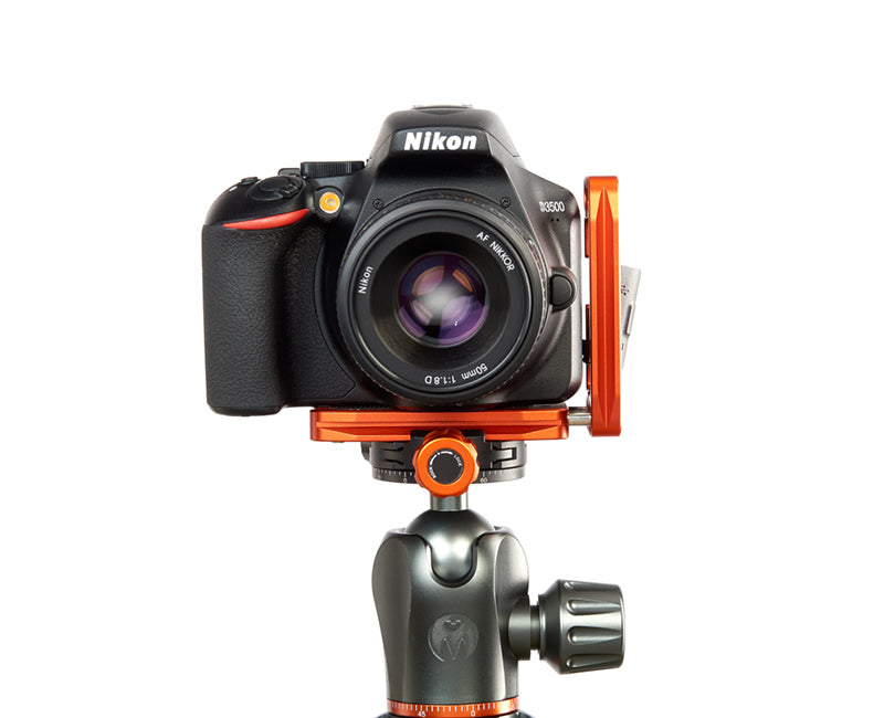 NIKON D3500 on Ellie - Front view