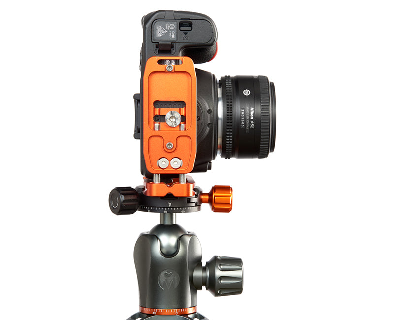 NIKON D3500 on Ellie - Underside view