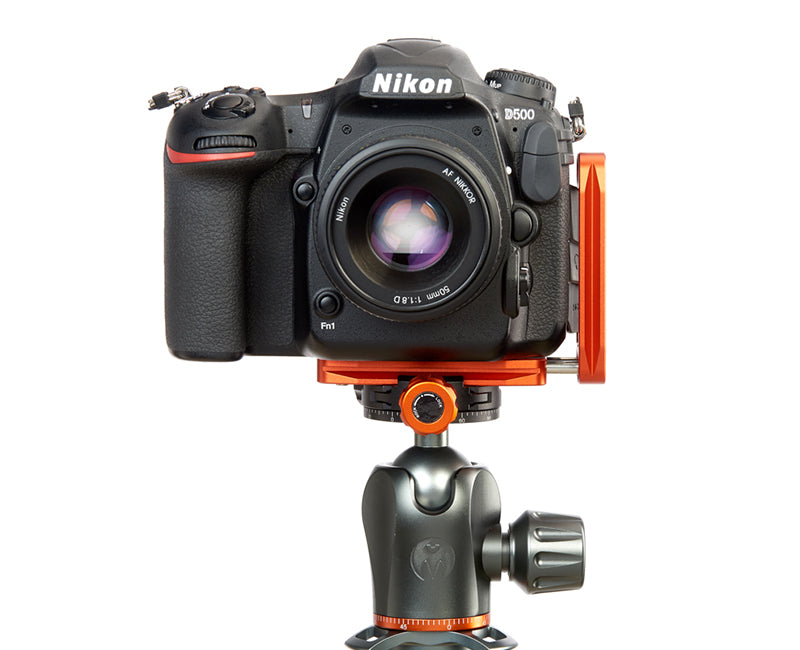 NIKON D3500 on Ellie - Front view