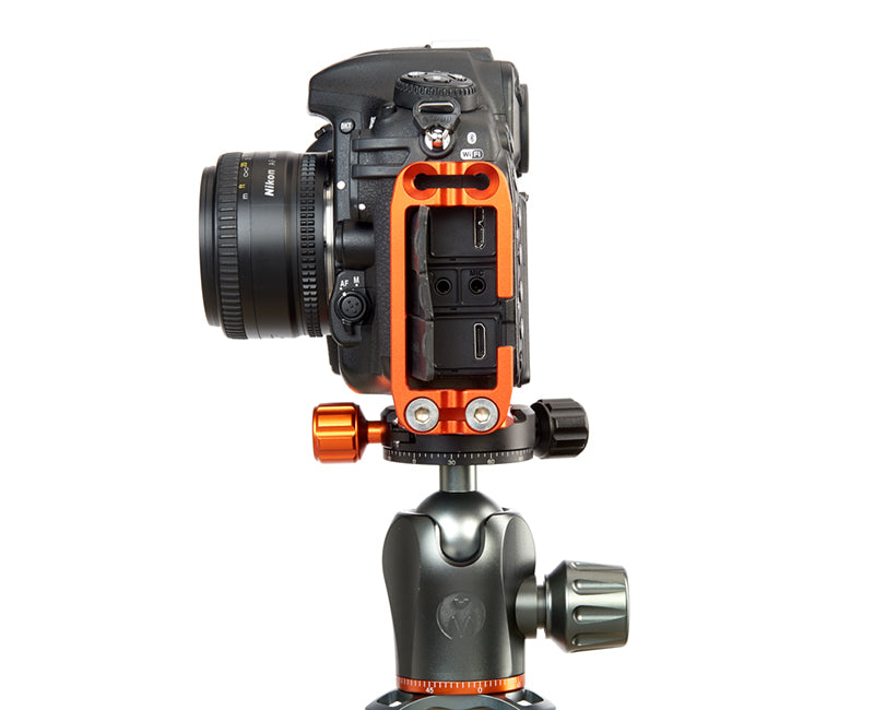 NIKON D3500 on Ellie - Side view