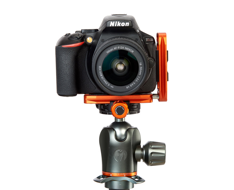 NIKON D3500 on Ellie - Front view