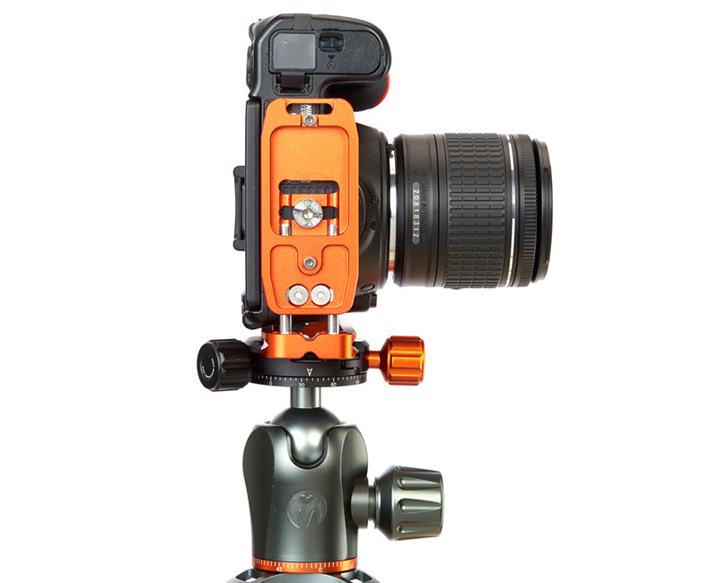 NIKON D3500 on Ellie - Underside view