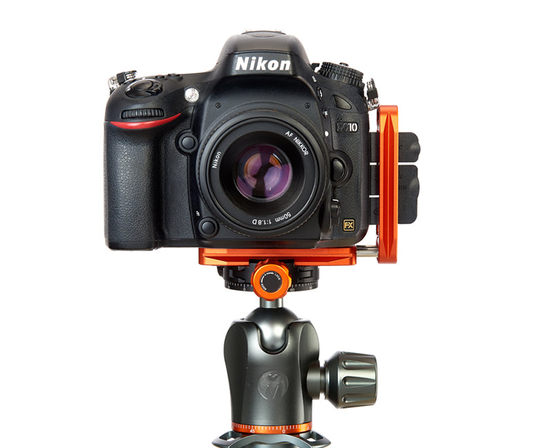 NIKON D3500 on Ellie - Front view