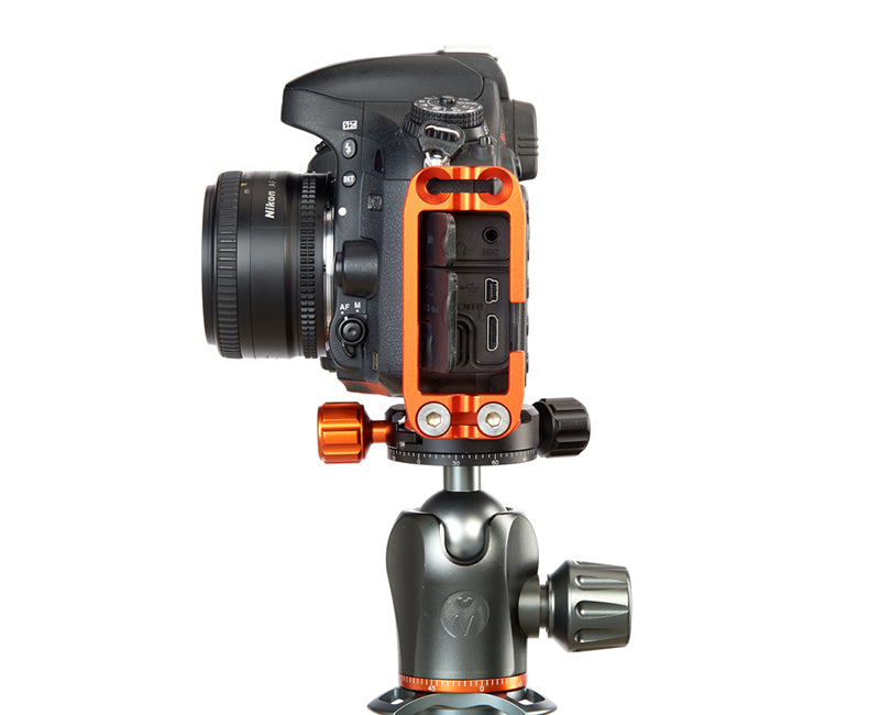 NIKON D3500 on Ellie - Side view