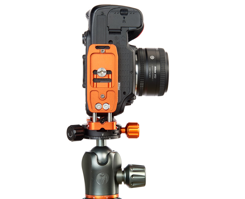 NIKON D3500 on Ellie - Underside view