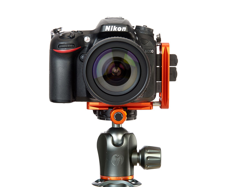 NIKON D3500 on Ellie - Front view