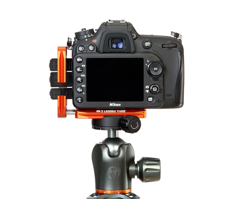 NIKON D3500 on Ellie - Rear view