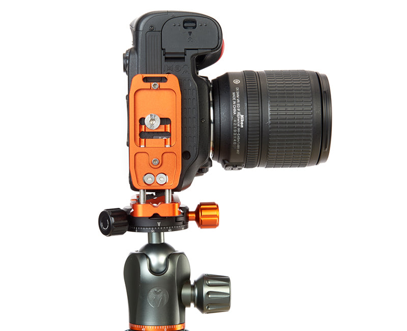 NIKON D3500 on Ellie - Underside view