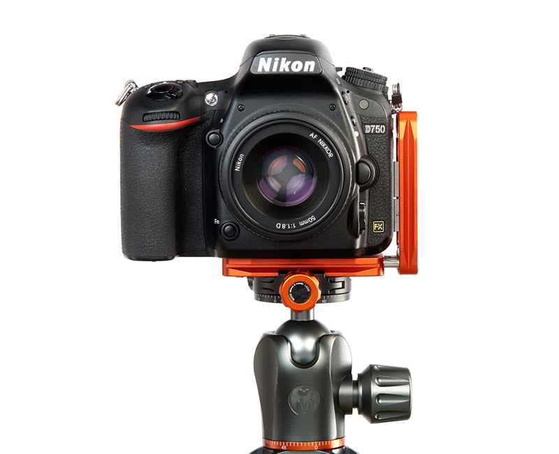 NIKON D3500 on Ellie - Front view