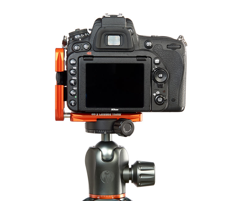 NIKON D3500 on Ellie - Rear view