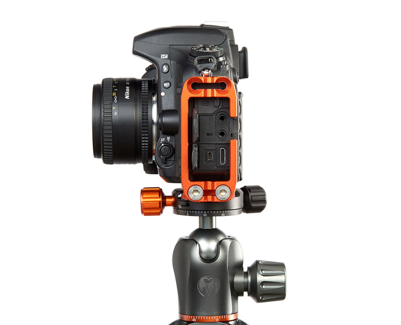 NIKON D3500 on Ellie - Side view