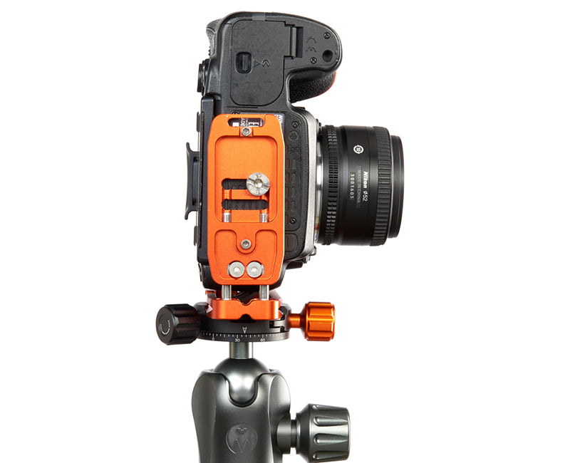 NIKON D3500 on Ellie - Underside view