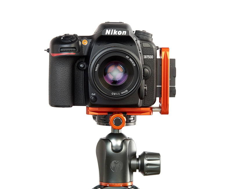 NIKON D3500 on Ellie - Front view